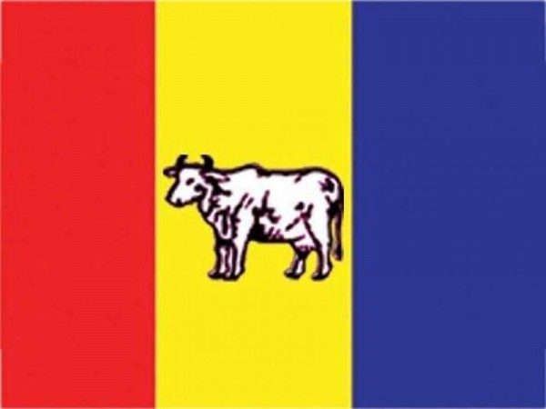 राप्रपा नेपालले निर्वाचन परिचालन समिति गठन गर्दै