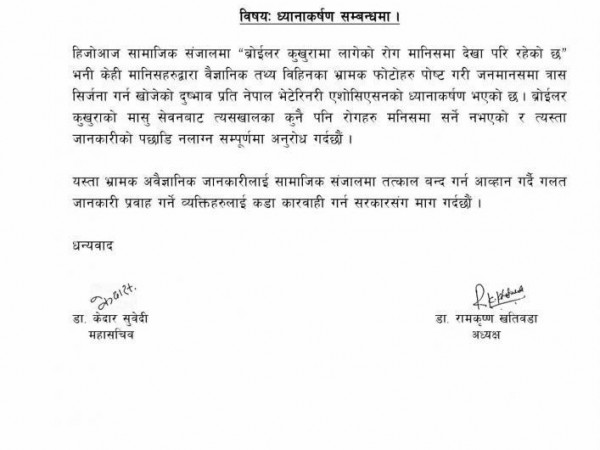 कुखुराबाट हल्ला फैलिए जस्तो मानिसमा रोग सर्दैन : नेपाल भेटेरिनरी एशोसिएशन