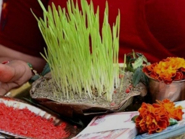 बिजया दशमीकाे टीकाकाे  आज  बिहान ११बजेर ३६ मिनेटमा उत्तम साइत।