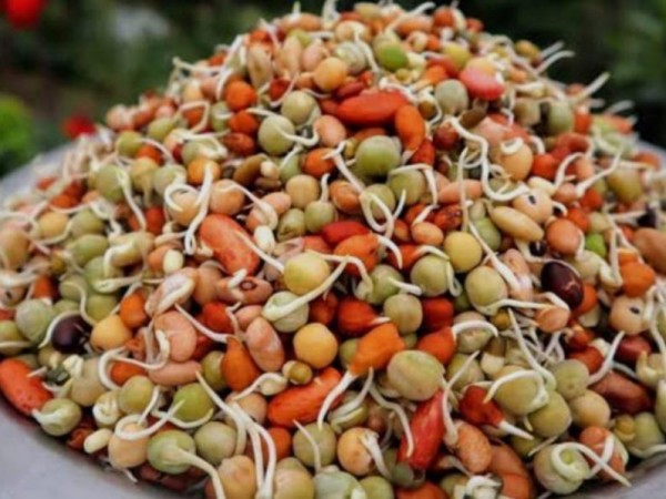 आज क्वाँटी तथा जनैपूणिर्मा ।