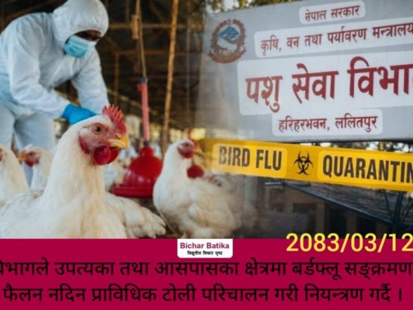 विभागले उपत्यका तथा आसपासका क्षेत्रमा बर्डफ्लू सङ्क्रमण फैलन नदिन प्राविधिक टोली परिचालन गरी नियन्त्रण गर्दै ।