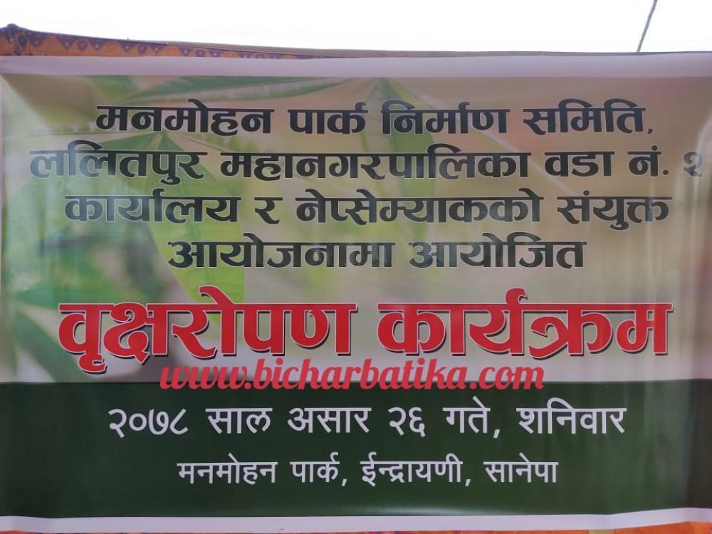 मनमोहन पार्कमा वृक्षारोपण कार्यक्रम सम्पन्न 