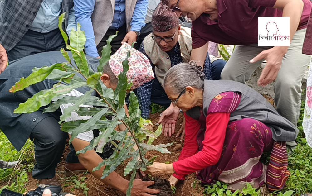 रामेछाप -काठमाडौं सम्पर्क मञ्च द्वारा पुष्पलाल पार्क  भंगेरीमा वृक्षारोपण ।